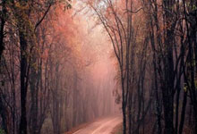 2014世界杯半决赛荷兰vs阿根廷，这场对决为何成为经典？